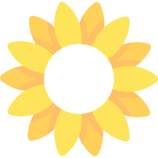 Sonnenblume